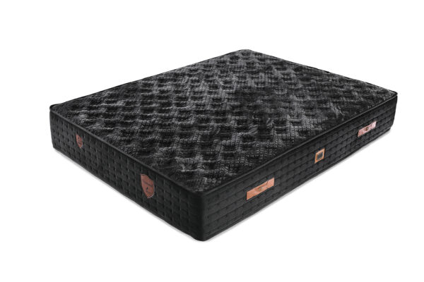 Polo Versage 90x190 Yatak Seti - Görsel 7